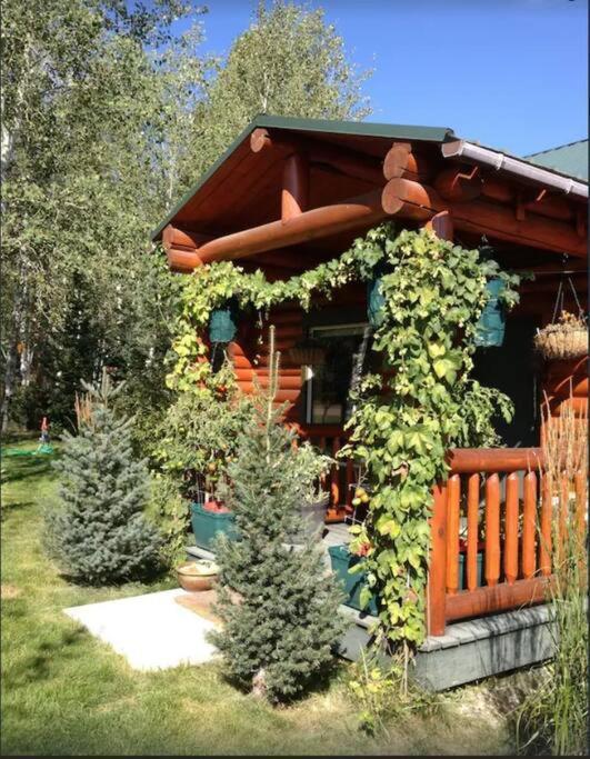 Lazy Fox Cabin West Yellowstone Zewnętrze zdjęcie